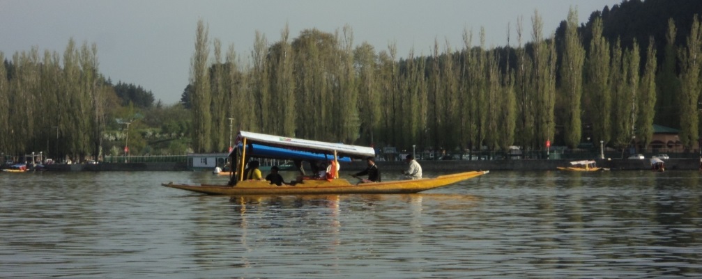 Shikaras on Dal Lake