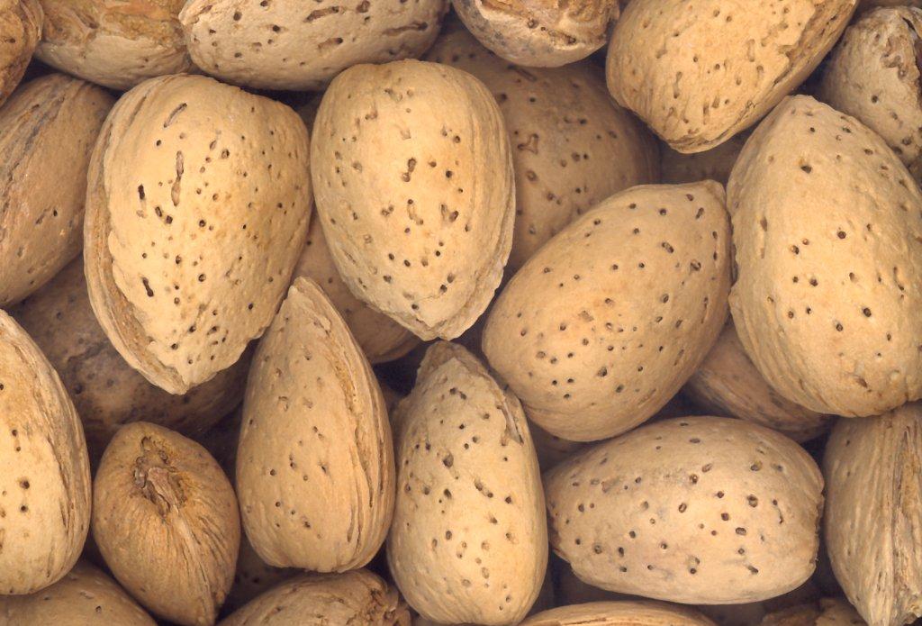 Kashmiri Almonds With Shell